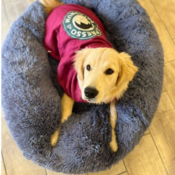 Cama anti-stress Relaxy™