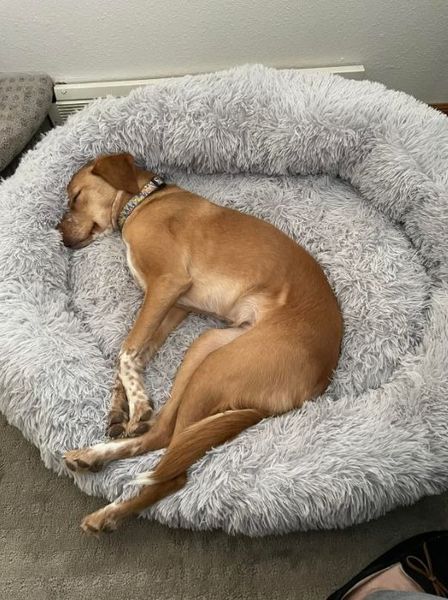 Cama anti-stress Relaxy™